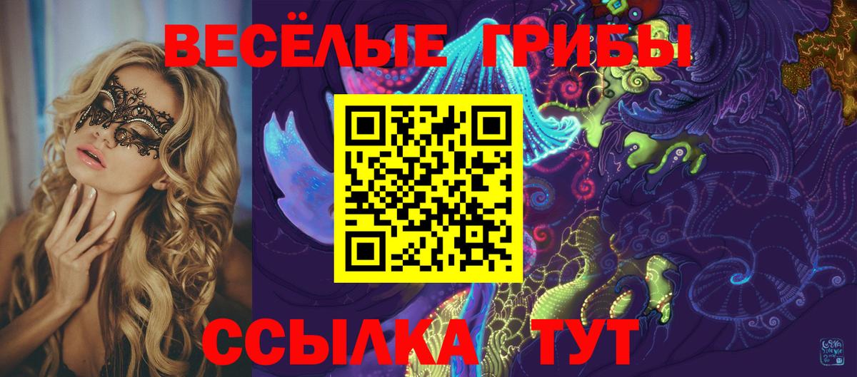 Можга  Псилоцибиновые грибы ЛСД  Вход с VPN 
